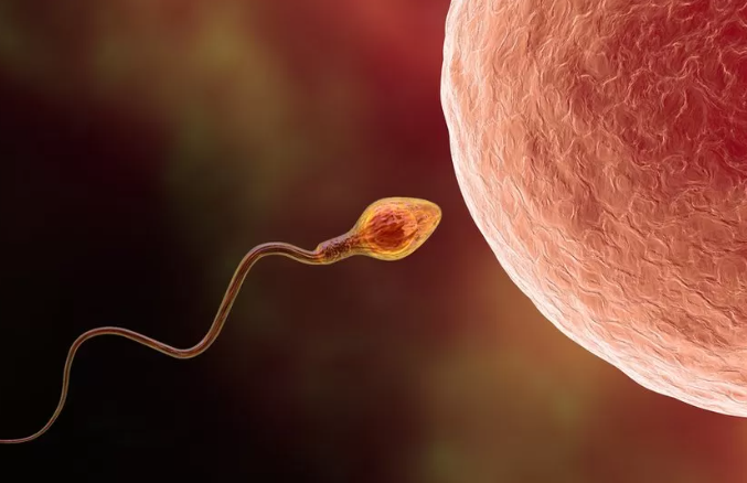 Gjysma e rasteve të infertilitetit lidhen me burrat, por diagnostikimi i tyre neglizhohet