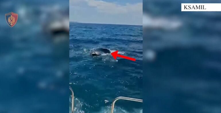 Rrezikuan të mbyteshin në det, Policia Kufitare shpëton dy turistë ukrainas në Sarandë