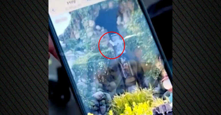 Momente paniku në Disneyland! 13-vjeçari bie nga atraksioni ujor “Tiana’s Bayou Adventure” gjatë lëvizjes (VIDEO)