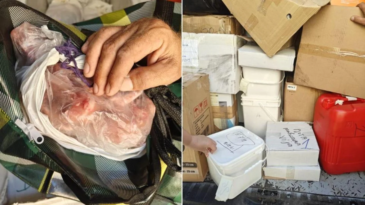 Mish, djathë dhe vezë nga Shqipëria drejt Maltës, autoritetet sekuestrojnë furgonin me ushqime: Janë të pasigurta, do i asgjësojmë