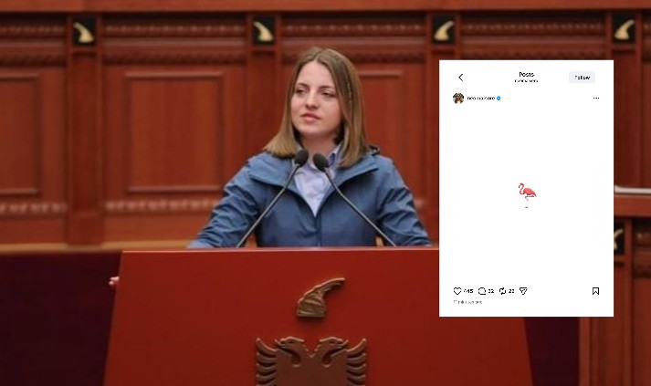 I bashkohet revoltës së qytetarëve kundër Ramës? Një ditë pas largimit nga grupi i PS, ‘Neomalësorja’ poston foto me flamingo
