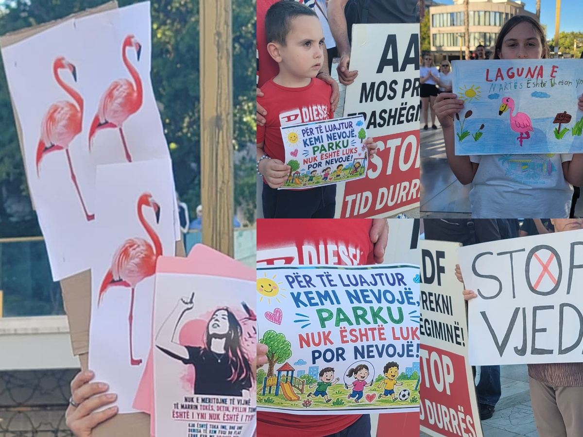 FOTOLAJM/ Pankartat e protestuesve nga sheshi “Liria”, ja çfarë kërkojnë vogëlushët në Durrës