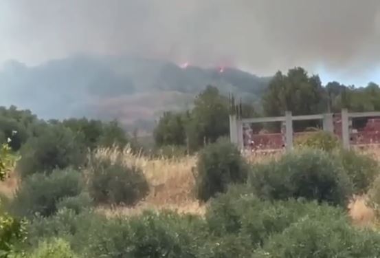 FOTO/ Zjarr i përmasave të mëdha në Vlorë, flakët dalin nga kontrolli dhe përparojnë me shpejtësi!
