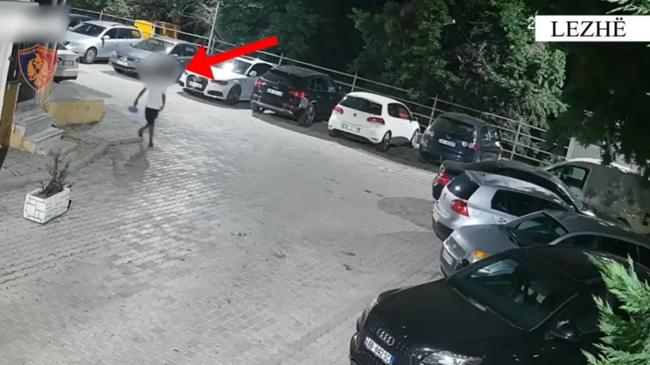 Vodhën në nëntë subjekte tregtare dhe një automjet, arrestohen dy persona në Lezhë
