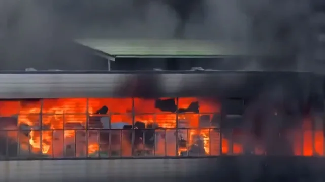 VIDEO/ Përfshihet nga flakët një fabrikë në Kinë, humbin jetën disa persona