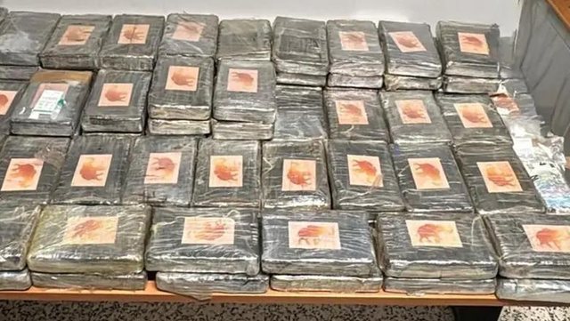 Po trafikonin 111 kilogramë kokainë me kamion, arrestohen 2 shqiptarët në Itali! Sekuestrohen edhe 19 mijë euro cash