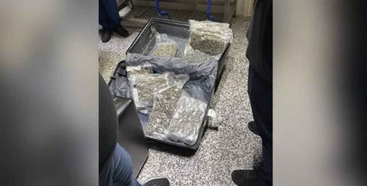 Sekuestrohen 46 kg kanabis në Rinas pas kontrollit të fluturimit Toronto-Tiranë, dy persona nën hetim