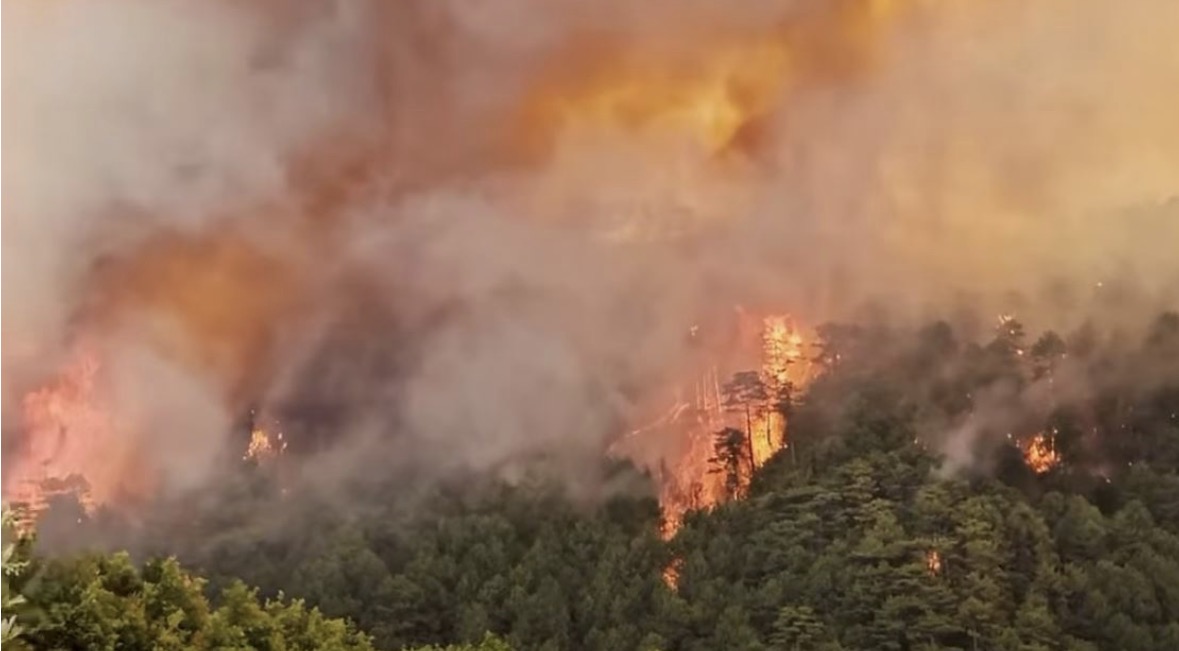 Lamallari: Zjarrvënia është krim, dënohet deri në 15 vite burg