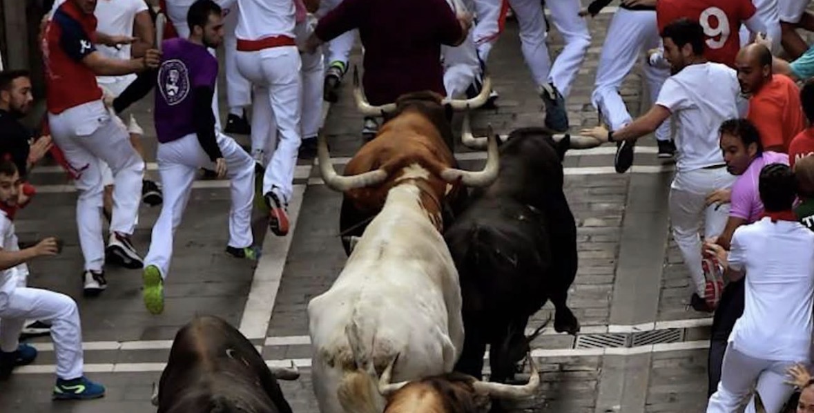 Përfundon San Fermin, 57 të plagosur gjatë vrapimeve tradicionale me dema në Spanjë