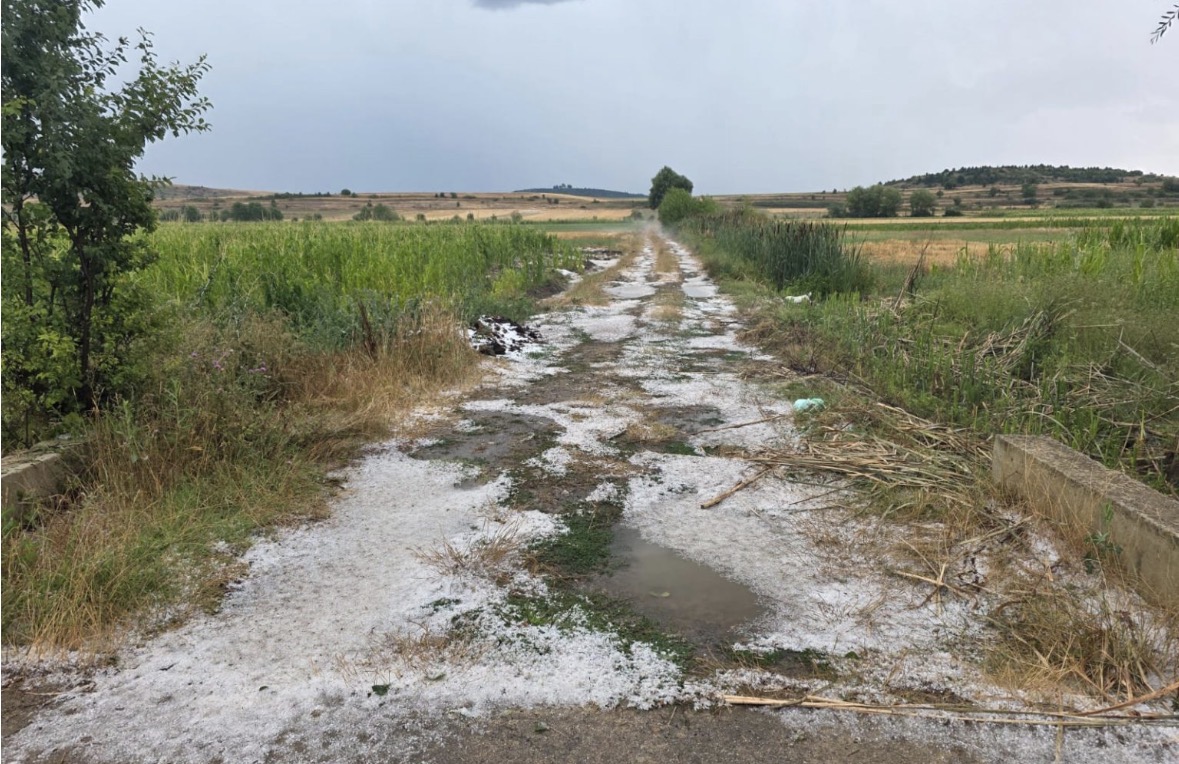 Reshje breshëri në Devoll, dëme në bujqësi