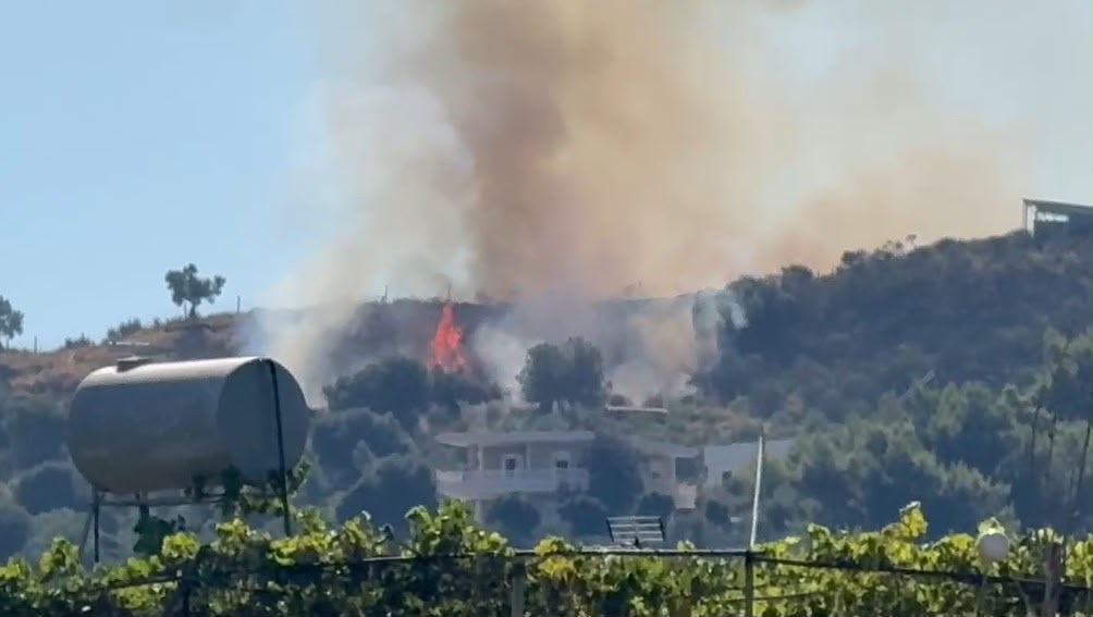 Zjarr në një zonë me pisha dhe shkurre në Vlorë, era favorizon përhapjen e flakëve