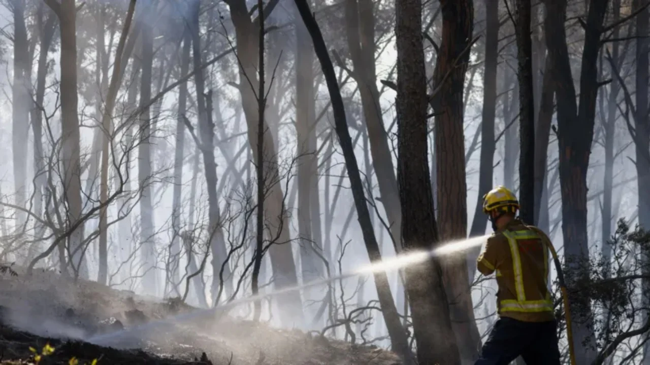 Zjarr i madh në një pyll në Spanjë, 12 viktima