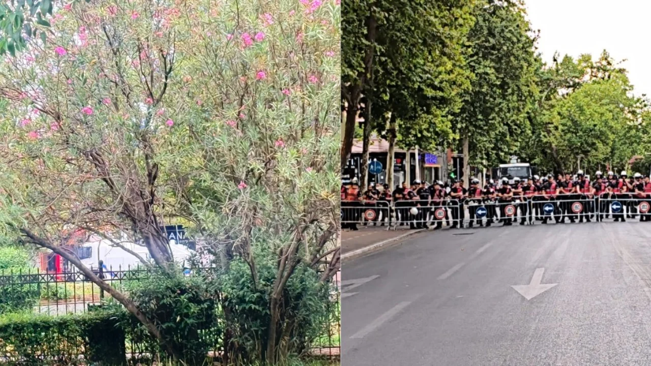 Protestë para Parlamentit, forcat e Policisë rrethojnë zonën, autobotët me ujë në gatishmëri