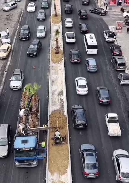Nis mbjellja e palmave në rrugën hyrëse të Durrësit (VIDEO)