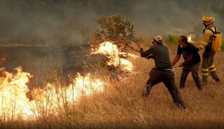 Mbi 220 mijë persona të evakuuar nga zjarret masive në Francë dhe Spanjë! Madridi shpall gjendjen e emergjencës kombëtare