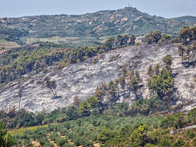 Zjarret, ndër rreziqet kryesore klimatike, çfarë lajmërohet deri në vitin 2050