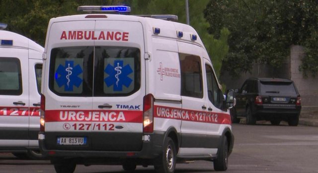 U godit aksidentalisht nga pema teksa priste dru, humb jetën një person