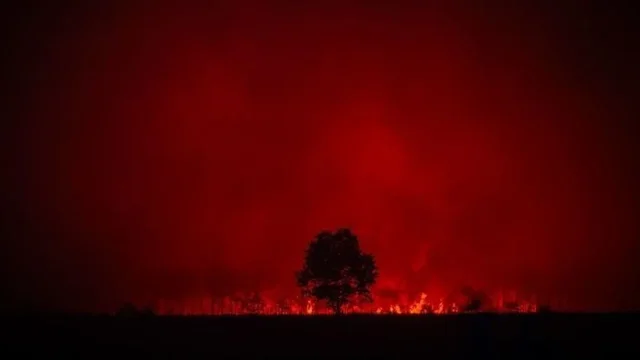 Zjarret në vend/ 10 vatra aktive, ja ku paraqitet situata më problematike