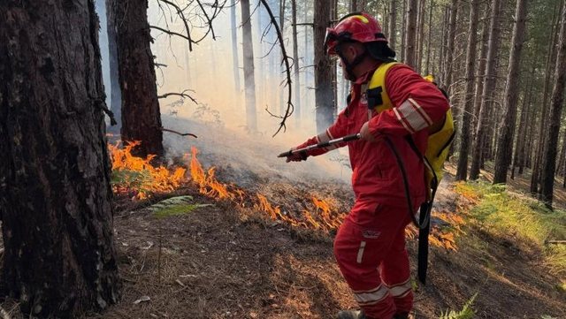 Aktivizohet një vatër zjarri në Bubq, flakët përhapen në zonë