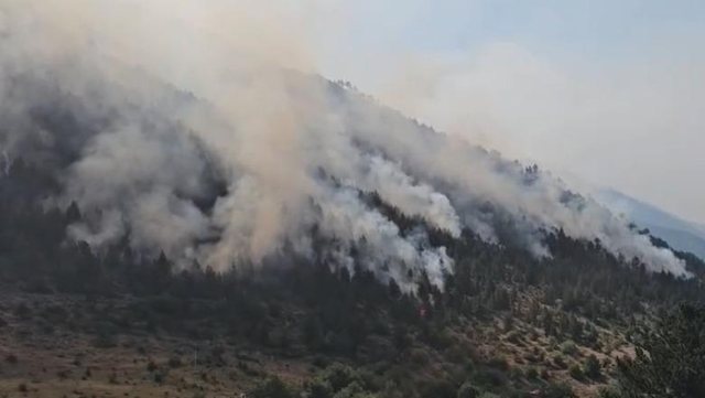 Vatra e zjarrit në Parkun Kombëtar të Lurës ende aktive, digjen mbi 300 hektarë pyje me bredha