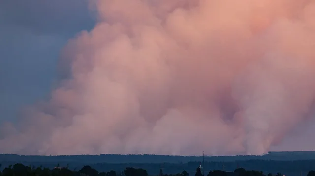 Zjarr i madh përfshin Belgjikën, mbi 16 mijë hektarë tokë në flakë