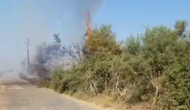 Ndezi zjarre në Lundër dhe Shkozë, arrestohet “piromani” 70-vjeçar në Tiranë