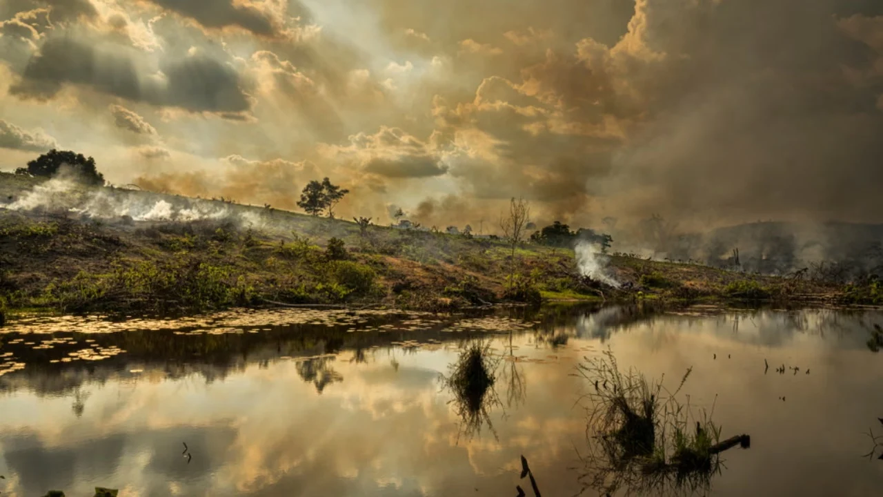 El Niño kërcënon Amazonën, shkencëtarët paralajmërojnë: Do të ketë thatësira dhe zjarre të rënda, 2027…