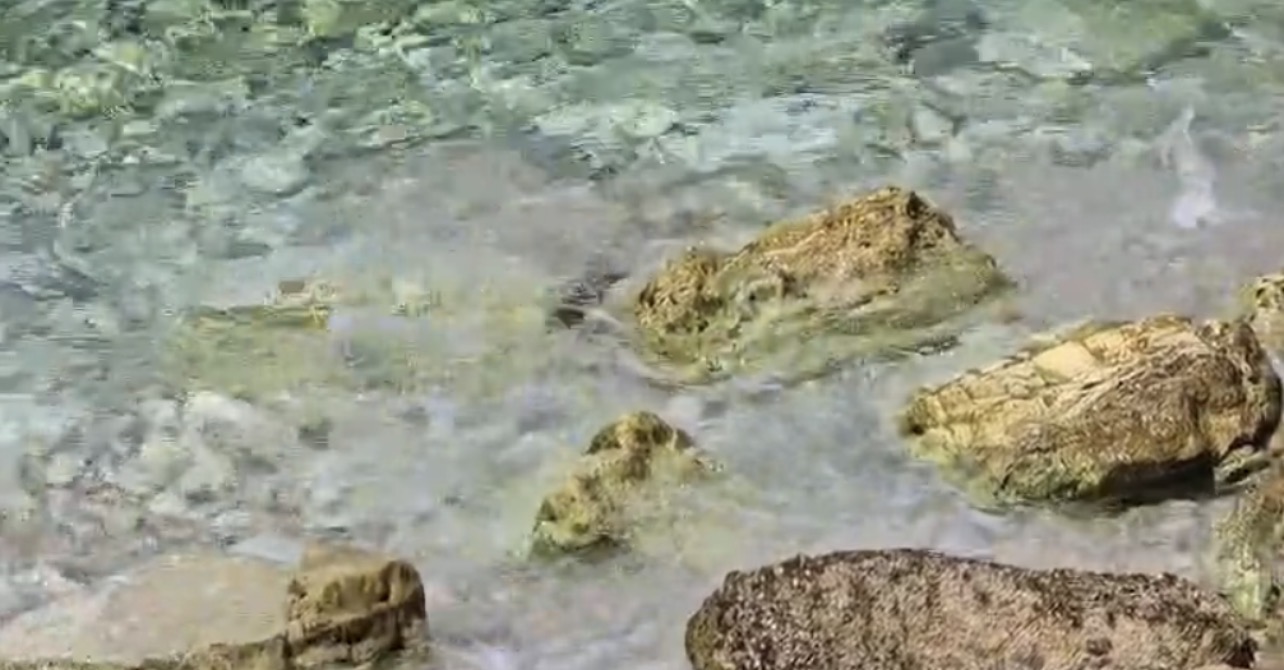 Hidhet nga shkëmbi, plagoset rëndë shtetasi italian në Vlorë