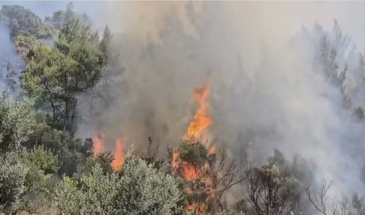 Zjarr i madh pranë Hekalit, digjen mbi 10 hektarë