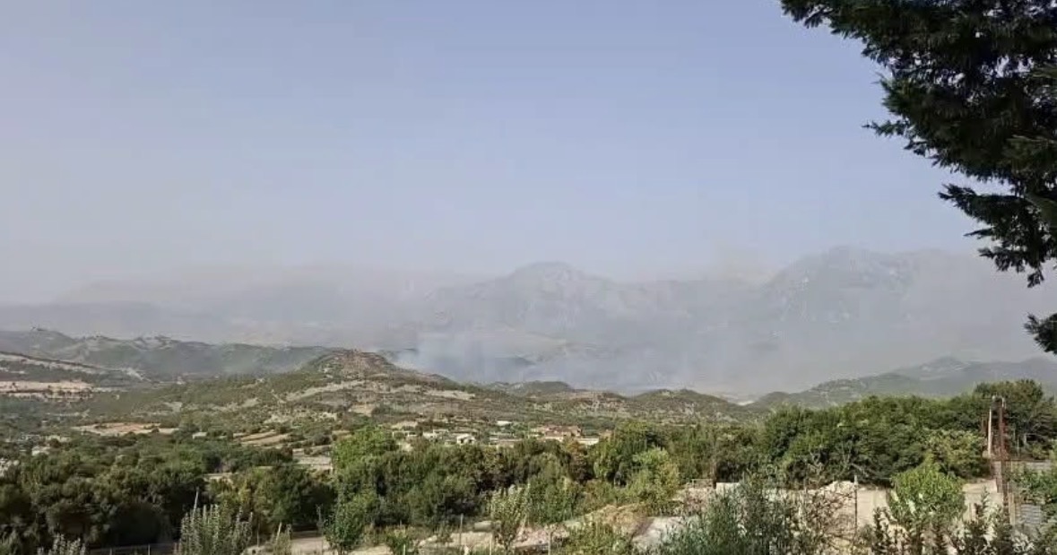 Dyshohet se vendosi zjarrin në fshatin Vranisht, policia ndalon një person