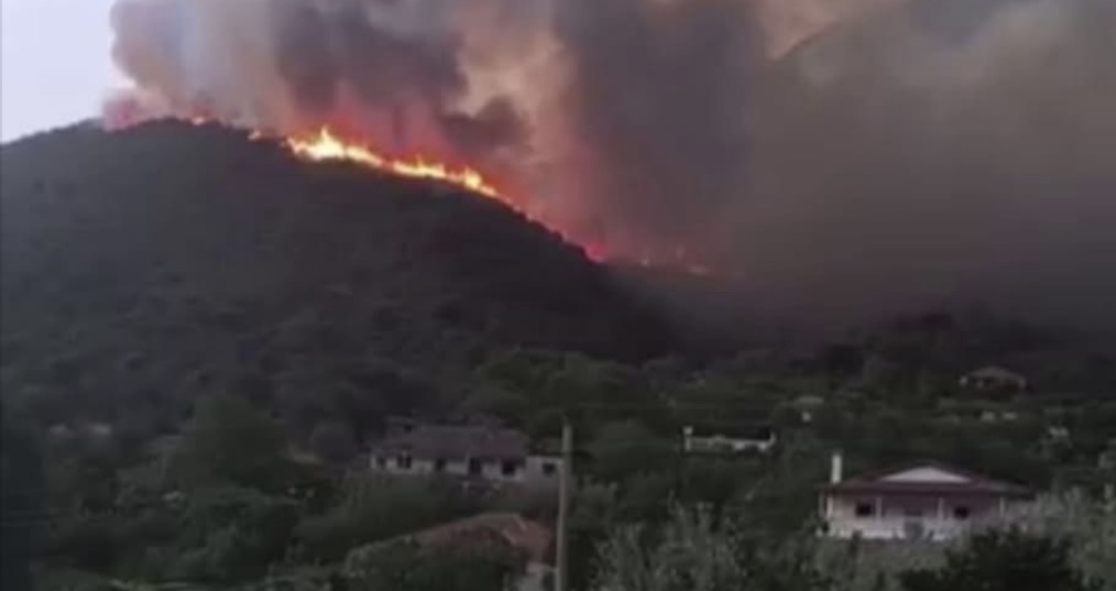 Zjarr në fshatin Dragot të Tepelenës, flakët rrezikojnë zonat e banuara