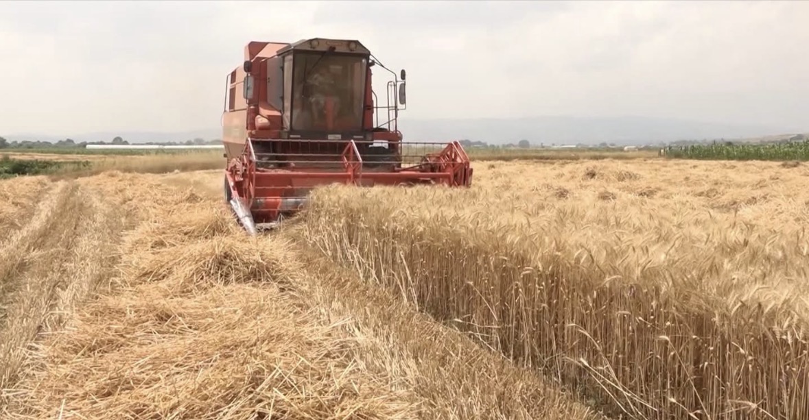 Fondet për fermerët, shtyhet deri më 11 shtator afati për skemën