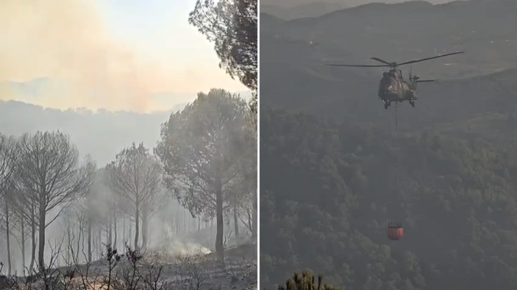 Situatë kritike në Mallakastër, kërkohet ndihmë nga ajri për shuarjen e zjarrit