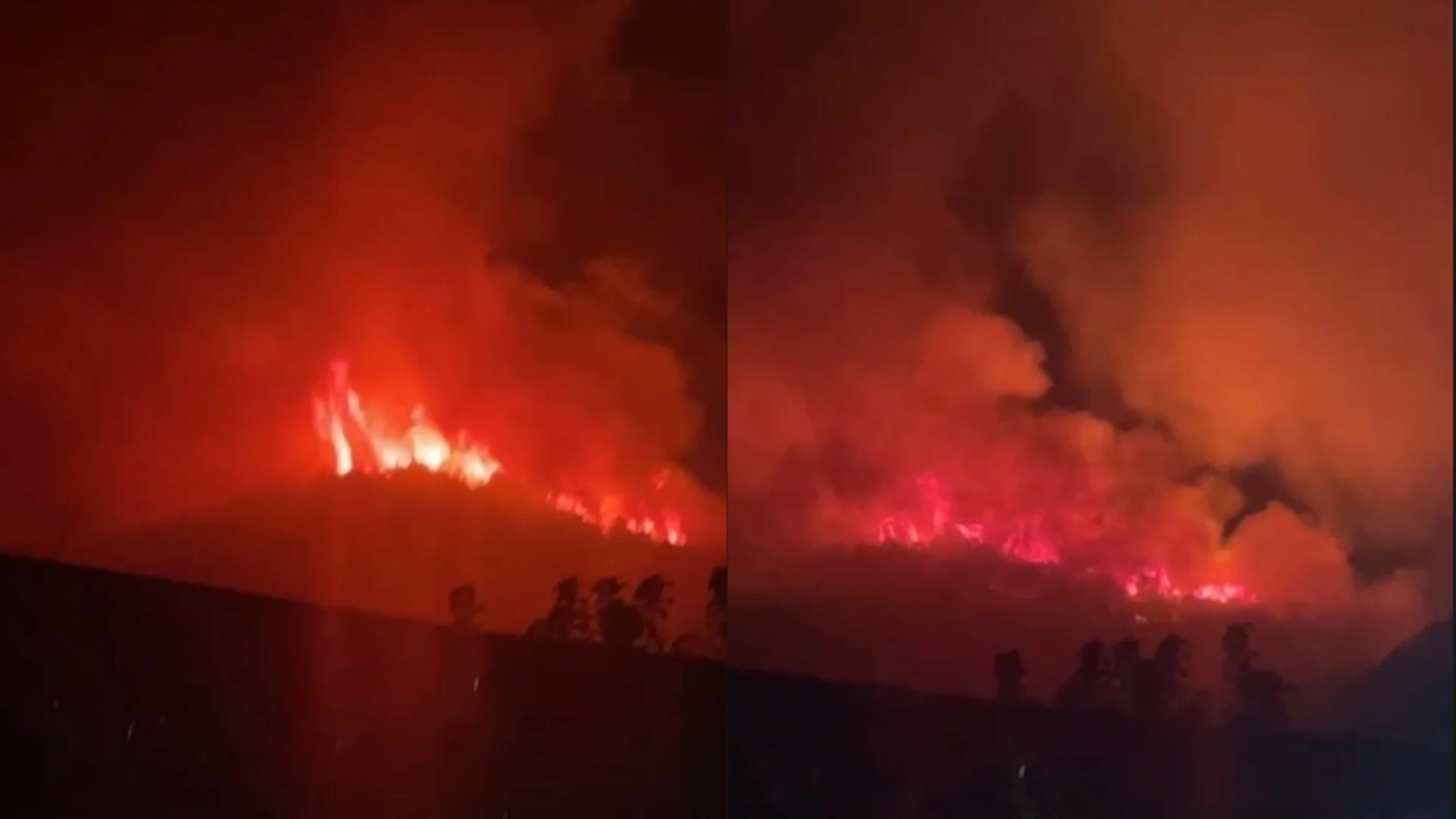 Zjarri del jashtë kontrollit në Gojan të Pukës, flakët afrohen ngjitur me fshatin, banesat në rrezik