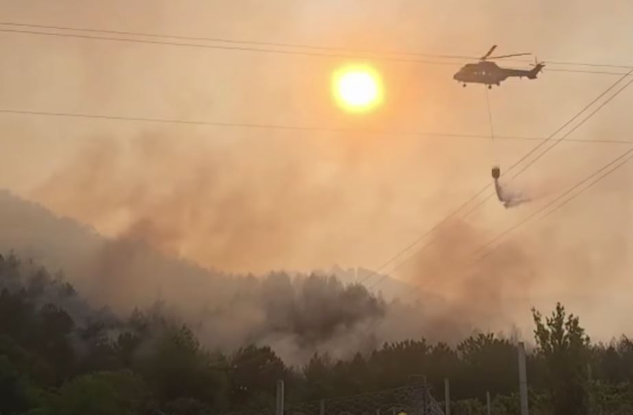 Zjarret në Shqipëri, 21 vatra të raportuara gjatë 24 orëve të fundit! Zonat ku situata është më problematike