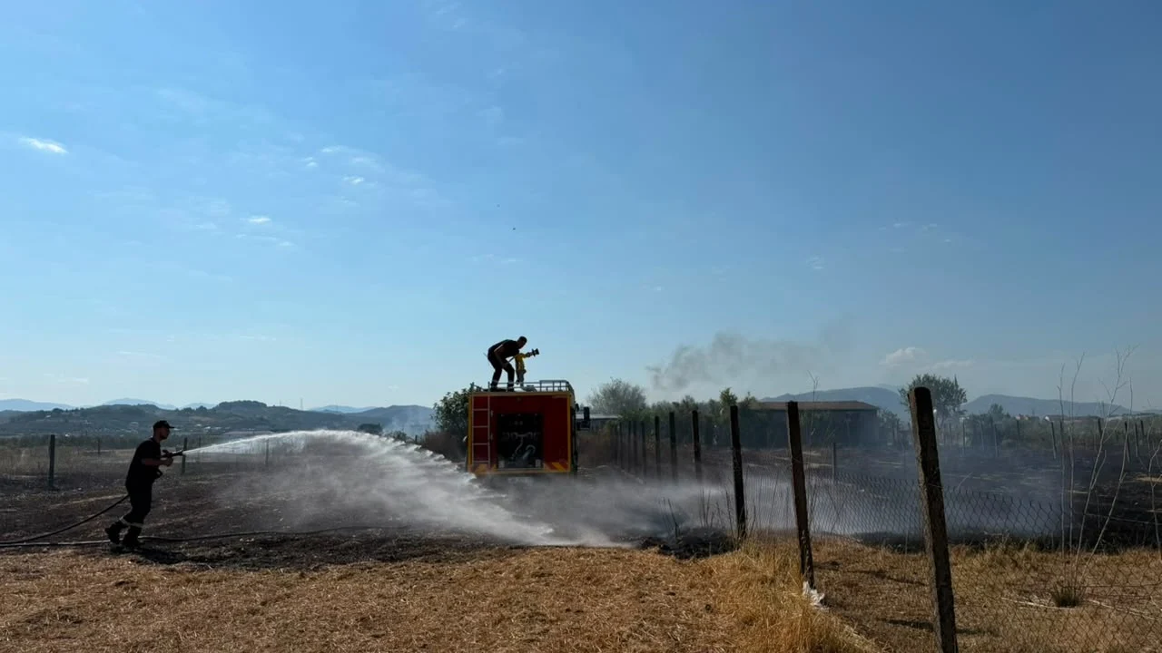 Zjarr në periferi të Cërrikut/ Flakët dogjën një parcelë me ullinj dhe rrezikuan një banesë, ndërhyjnë zjarrfikësit