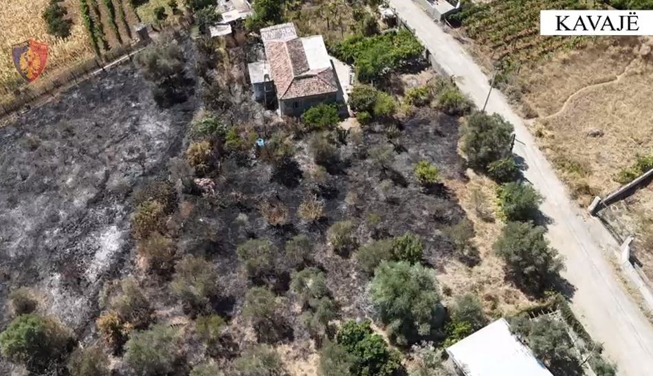 Ndezi zjarr pranë banesës dhe u dogjën rreth 250 pemë ulliri, arrestohet autori në fshatin Lekaj