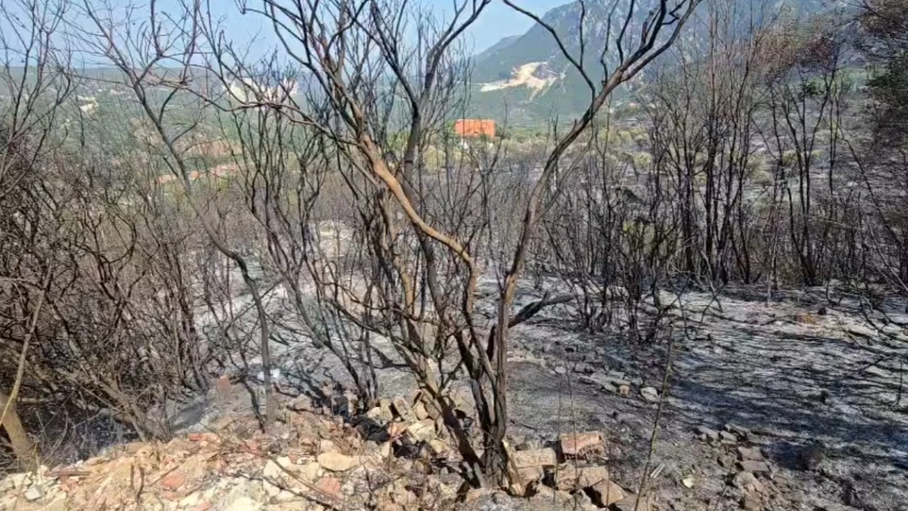 Situata e zjarreve në Shqipëri, Ministria e Mbrojtjes: Disa vatra ende aktive në Tiranë, Kurbin dhe Krujë, 227 forca në terren