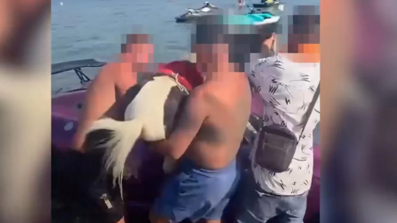 Futën kalin në mjetin lundrues/ Policia ndërhyn pas publikimit të videos, 3 persona procedohen penalisht