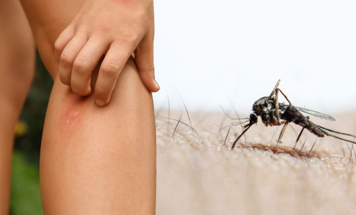 Virusi i Nilit Perëndimor alarmon Greqinë/ 110 raste dhe 9 viktima