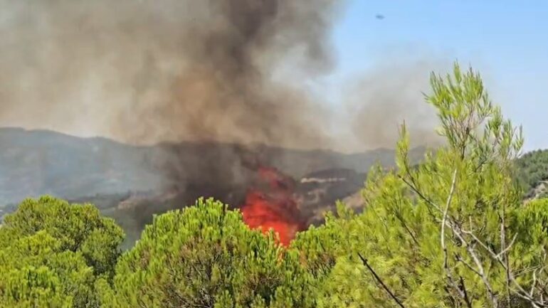 Situata e zjarreve në vend/ Ministria e Mbrojtjes bën bilancin: 45 vatra zjarri në 24 orë, 12 mbeten aktive