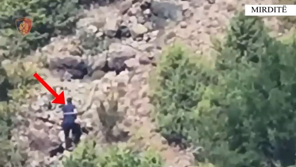 62-vjeçari piroman, kapet sërish duke ndezur zjarr në Mirditë, vihet në pranga nga policia