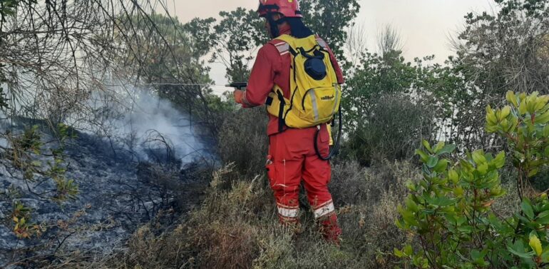 10 vatra zjarri aktive në vend/ Vijon ndërhyrja në disa qarqe. Në terren 240 FA, 4 helikopterë dhe 2 avionë