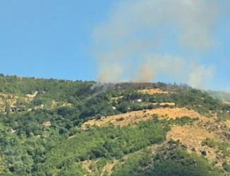 Situata e zjarreve/ 11 vatra ende aktive, Mali i Dajtit dhe Gurë-Lura më problematiket