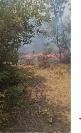 Zjarri në Lufaj përhapet drejt Matit/ Perimetri arrin 5-6 kilometra