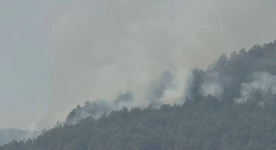 Riaktivizohen vatrat e zjarrit në fshatin Kalivaç të Lezhës, nis ndërhyrja nga ajri për fikjen e flakëve