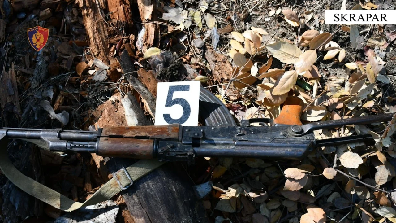 Kultivonin kanabis në pyll, arrestohet 22-vjeçari në Skarapar, bashkëpunëtori arratiset i armatosur
