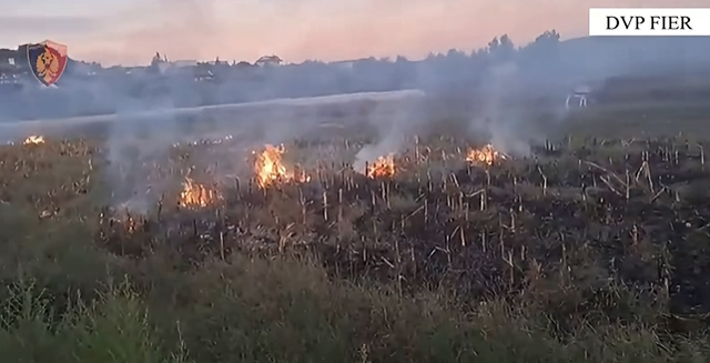 Ndezën zjarre në Eskaj dhe Hasturkas në Fier, arrestohen dy persona