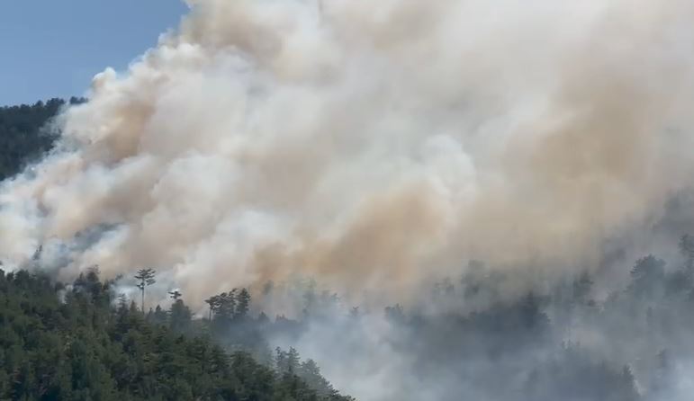 Zjarri në Malin e Tërbunit del jashtë kontrollit e i afrohet qytetit! Vatrat shtrihen në 12 km, kërkohet ndërhyrje urgjente nga ajri