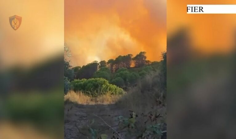 Ndezi zjarr për të djegur mbeturinat, flakët u përhapën nga era dhe shkaktuan dëme të mëdha, arrestohet i riu në Fier